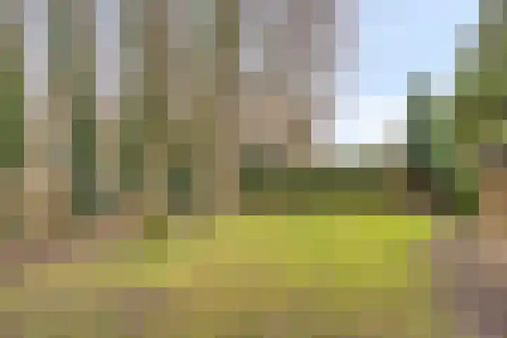 Sleen 7 Heijen thumbnail 43