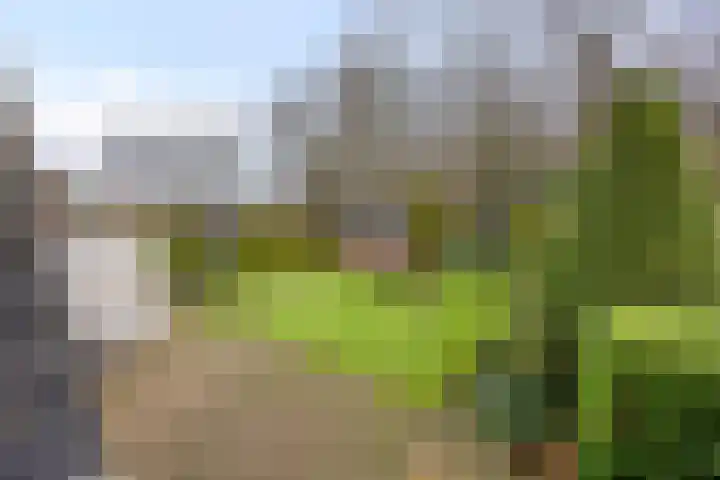 Sleen 7 Heijen thumbnail 47