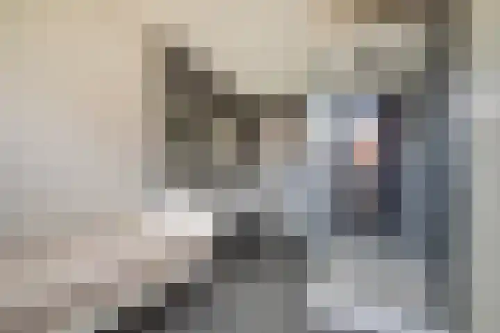 Sleep 5 Papendrecht thumbnail 22