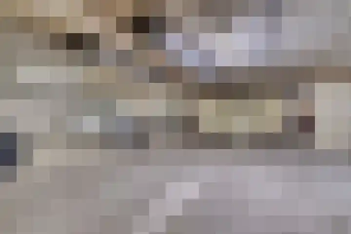 Sleep 5 Papendrecht thumbnail 4