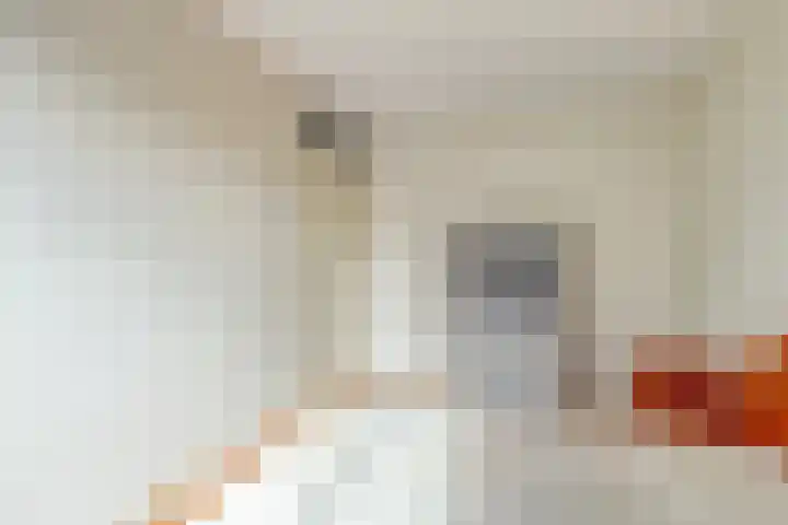 Sleep 5 Papendrecht thumbnail 6