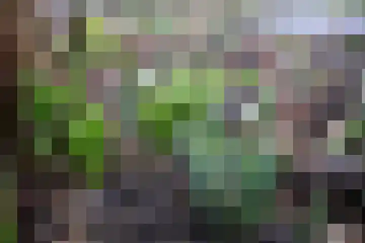 Slenk 7 Sneek thumbnail 10