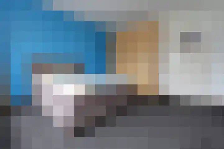 Slenk 7 Sneek thumbnail 15