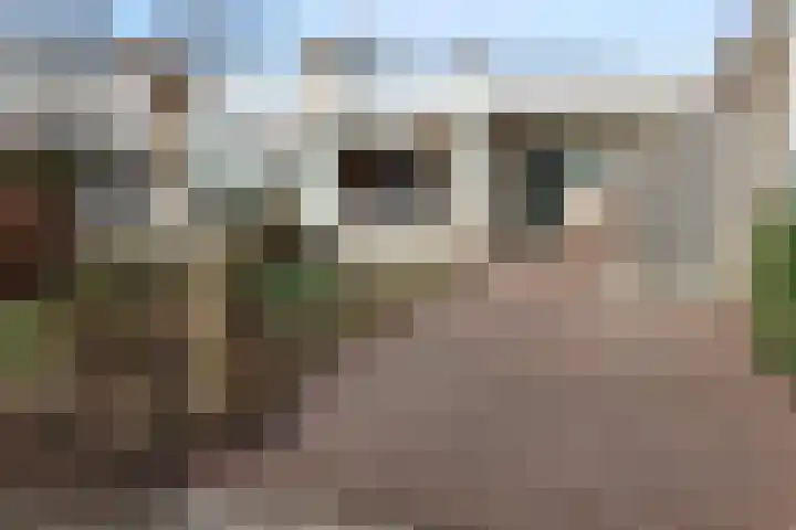 Slenk 7 Sneek thumbnail 22