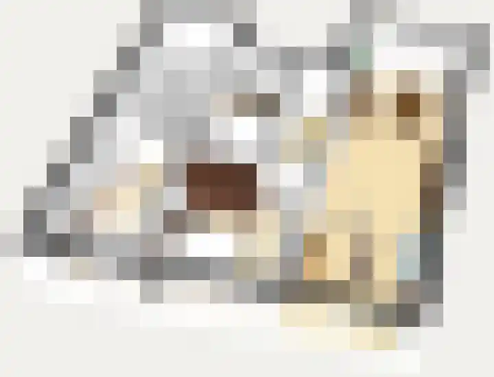 Slenk 7 Sneek thumbnail 29