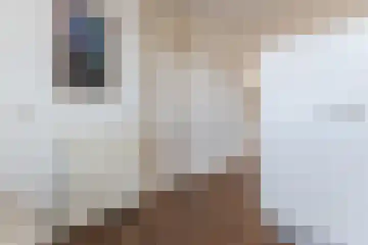 Slenk 9 Gemert thumbnail 13