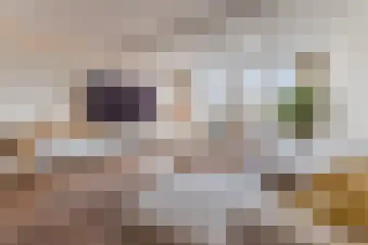 Slenk 9 Gemert thumbnail 14