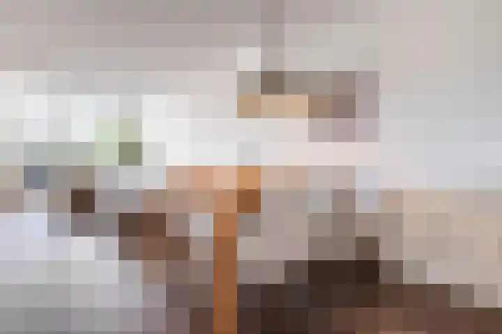 Slenk 9 Gemert thumbnail 17