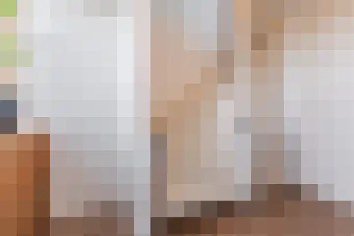 Slenk 9 Gemert thumbnail 27