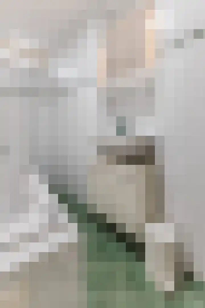 Slenk 9 Gemert thumbnail 33
