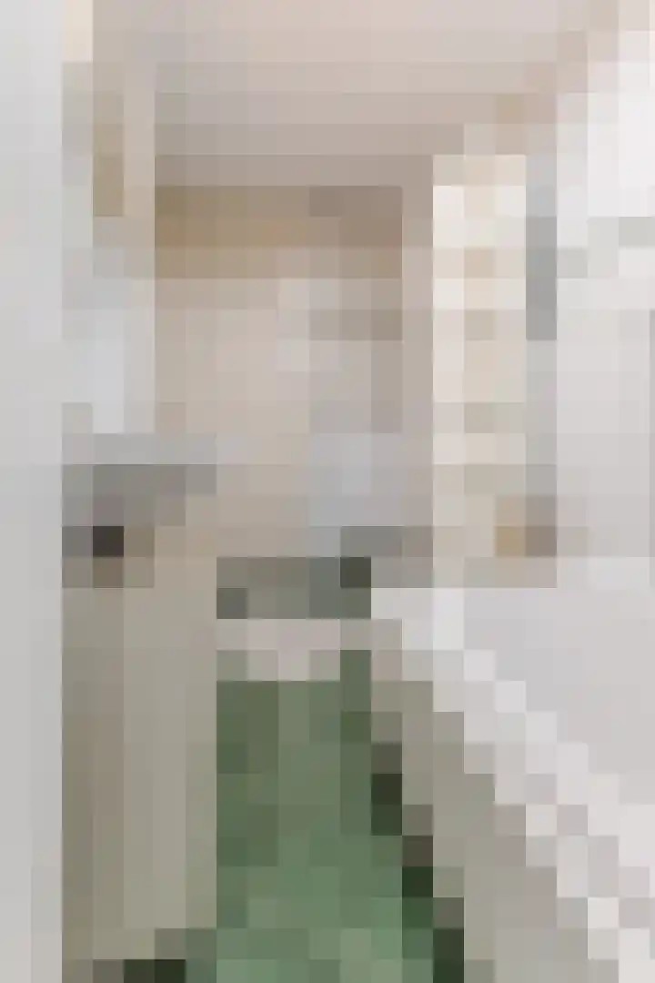 Slenk 9 Gemert thumbnail 34