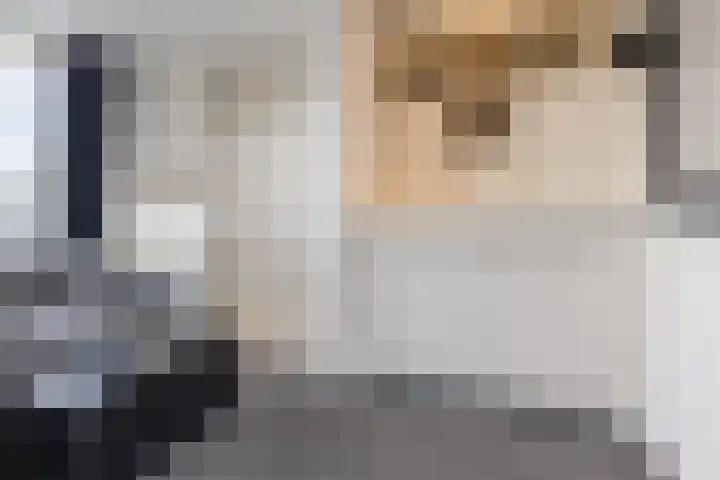 Slenk 9 Gemert thumbnail 36