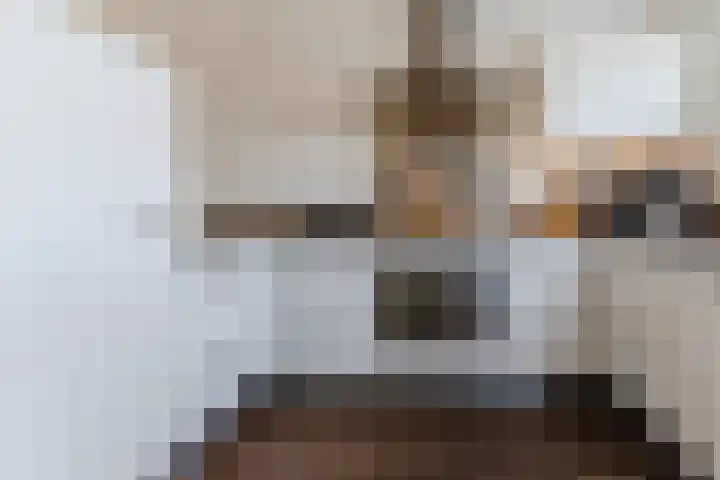 Slenk 9 Gemert thumbnail 4
