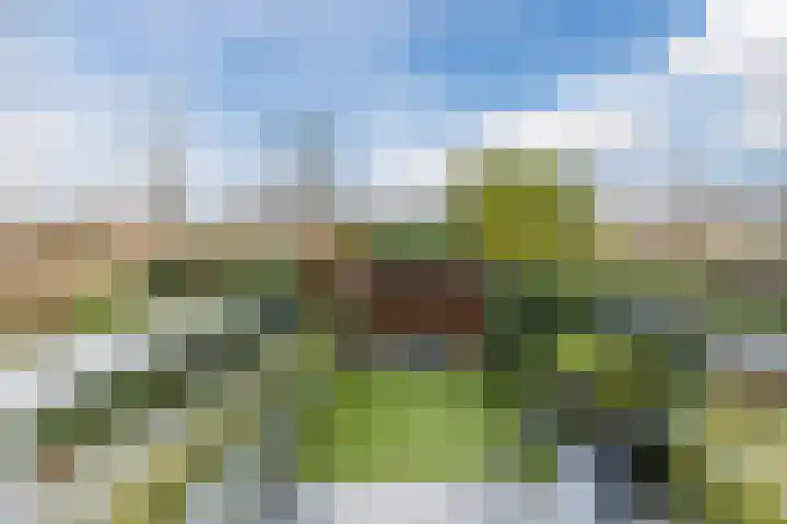 Slenk 9 Gemert thumbnail 44