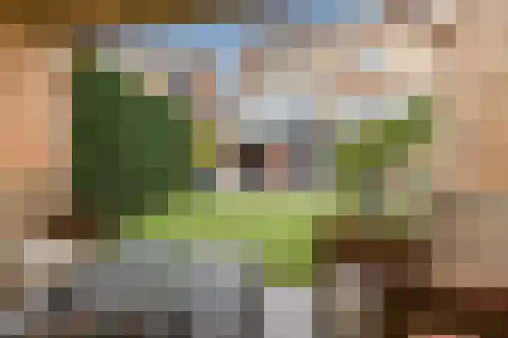 Slenk 9 Gemert thumbnail 48