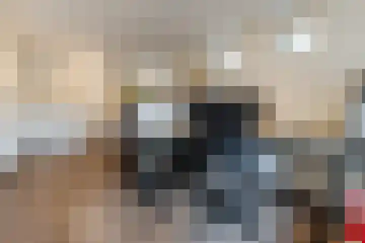 Slenk 9 Gemert thumbnail 5