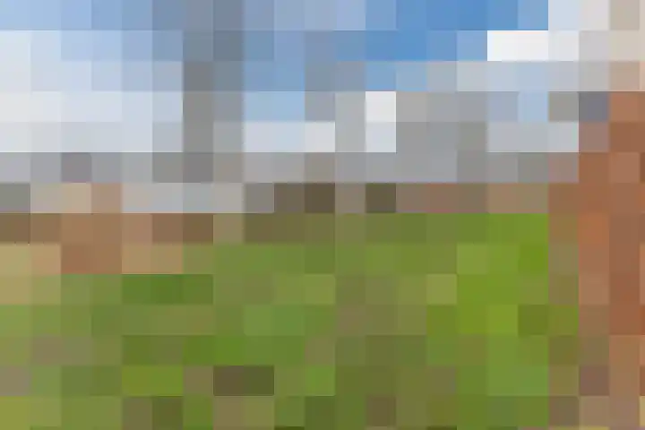 Slenk 9 Gemert thumbnail 57