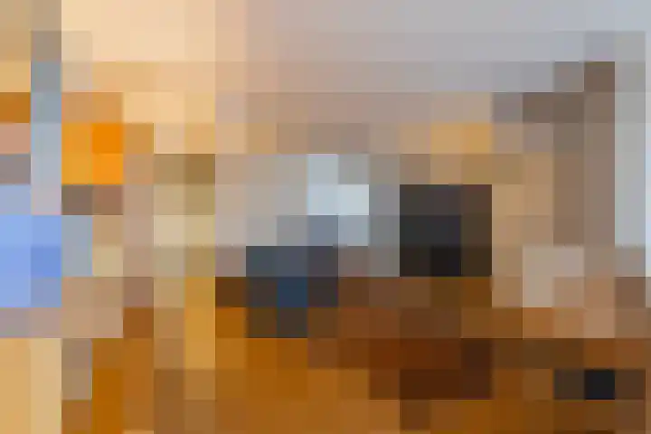 Sleper 1 Landgraaf thumbnail 7