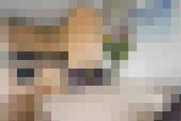 Sleper 14 Woerden thumbnail 18