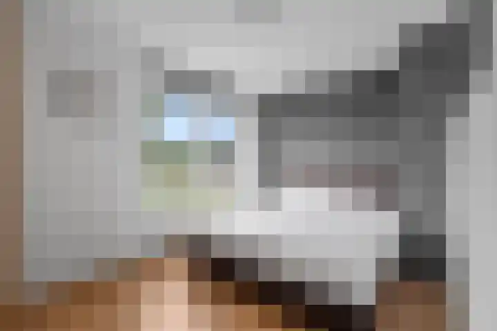 Sleper 14 Woerden thumbnail 19