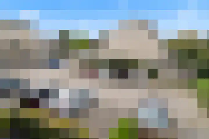Sleper 14 Woerden thumbnail 26