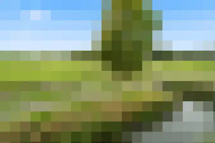 Sleper 14 Woerden thumbnail 27