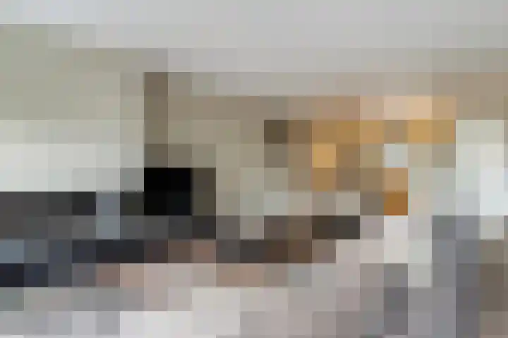 Sleper 29 Woerden thumbnail 8