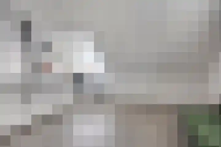 Slepersgilde 13 Dronten thumbnail 25
