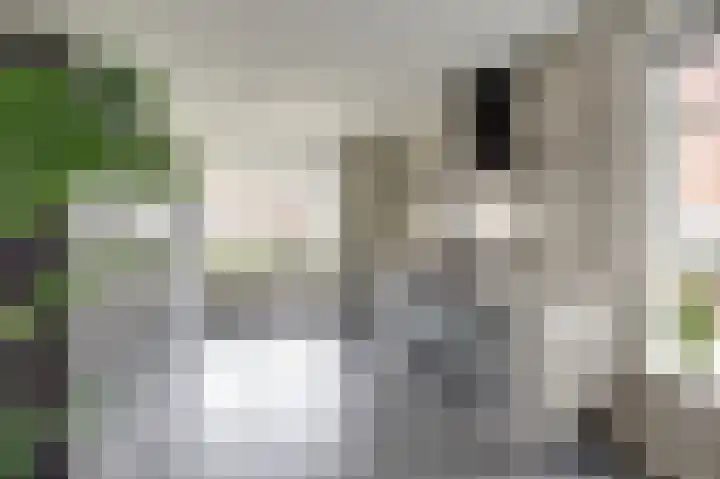 Slepersgilde 9 Dronten thumbnail 14