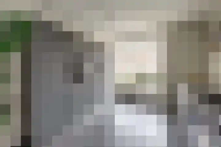 Slepersgilde 9 Dronten thumbnail 15