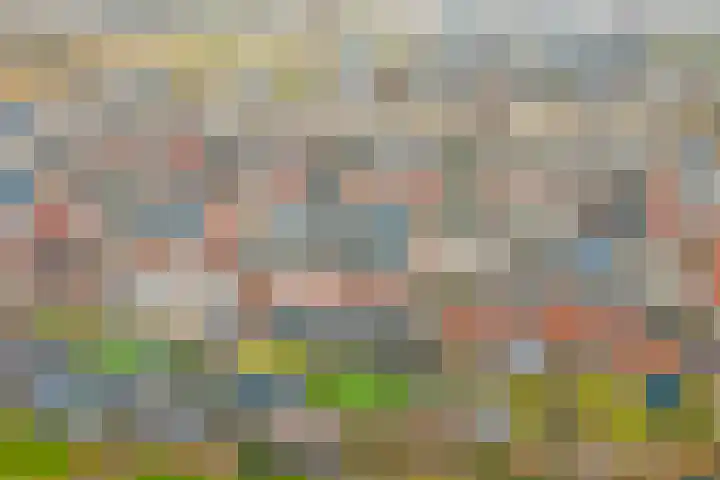 Slepersgilde 9 Dronten thumbnail 42