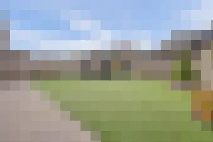 Slepersgilde 9 Dronten thumbnail 50