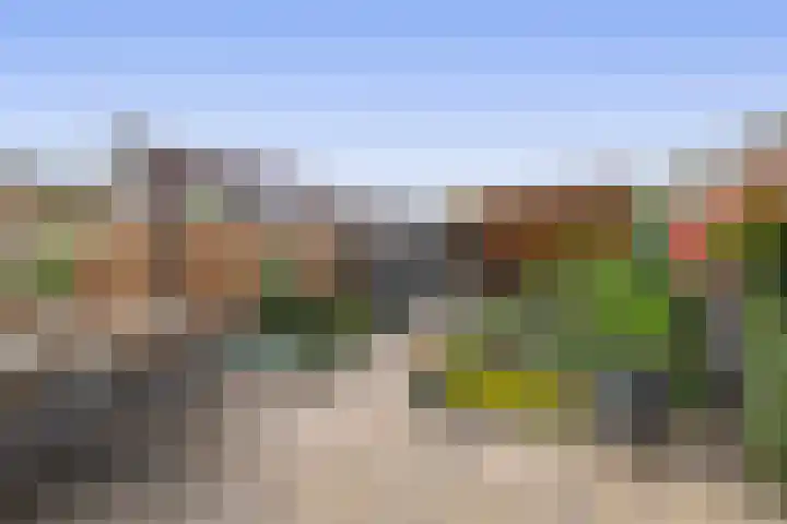 Sleutelbloem 11 Breukelen thumbnail 13