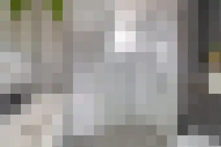 Sleutelbloem 11 Breukelen thumbnail 21