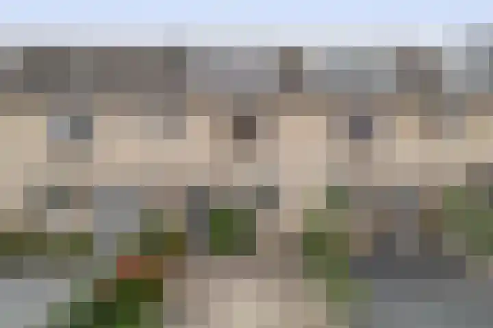 Sleutelbloem 11 Breukelen thumbnail 25