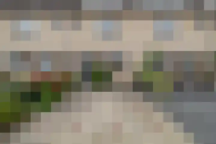 Sleutelbloem 11 Breukelen thumbnail 26