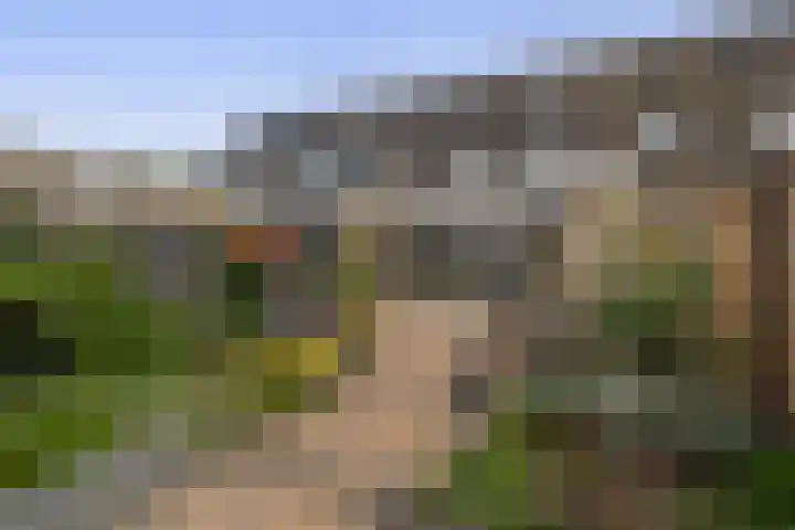 Sleutelbloem 11 Breukelen thumbnail 4