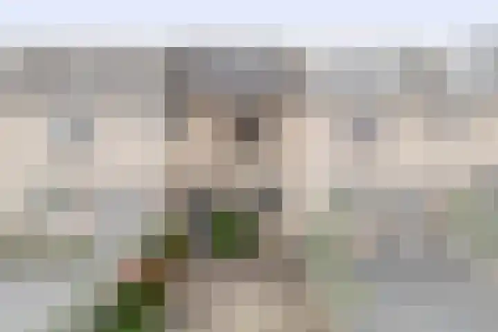 Sleutelbloem 11 Breukelen thumbnail 5