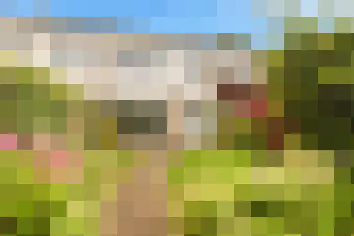 Sleutelbloem 15 Castricum thumbnail 37