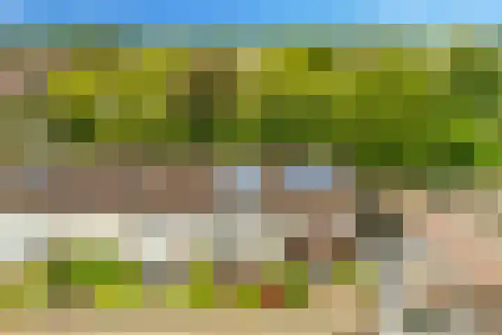 Sleutelbloem 15 Castricum thumbnail 38