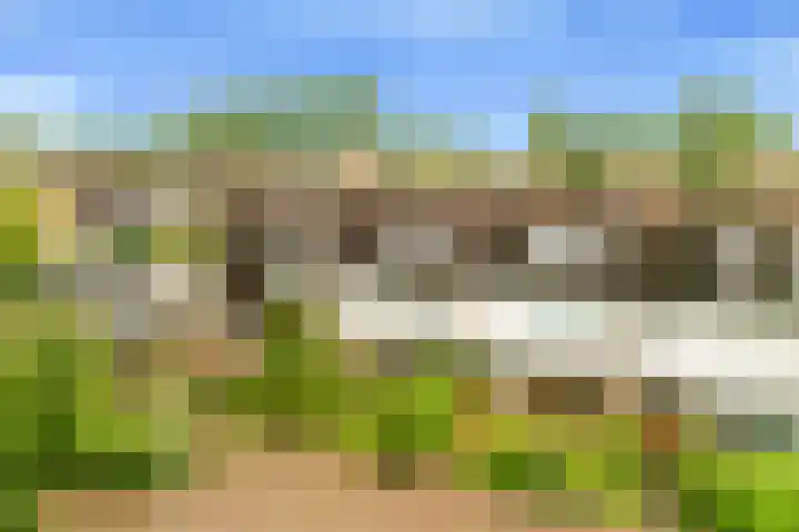 Sleutelbloem 15 Castricum thumbnail 39