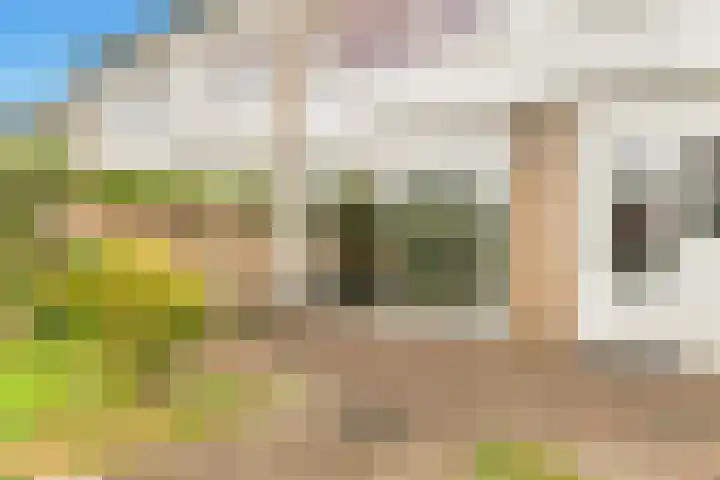 Sleutelbloem 15 Castricum thumbnail 42