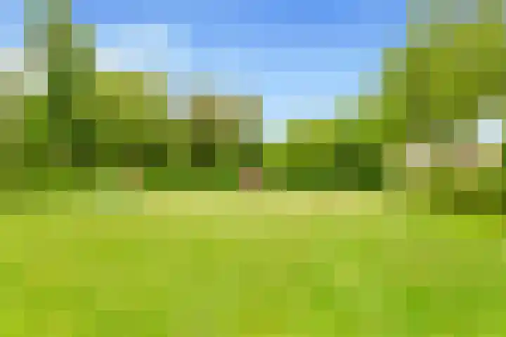 Sleutelbloem 15 Castricum thumbnail 43