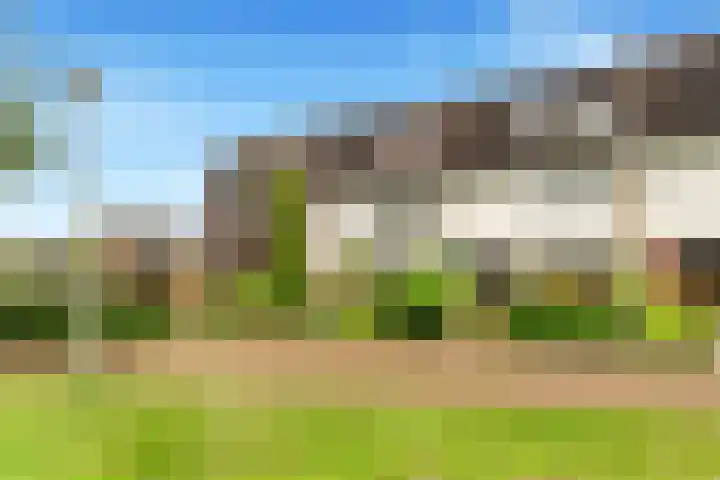Sleutelbloem 15 Castricum thumbnail 5