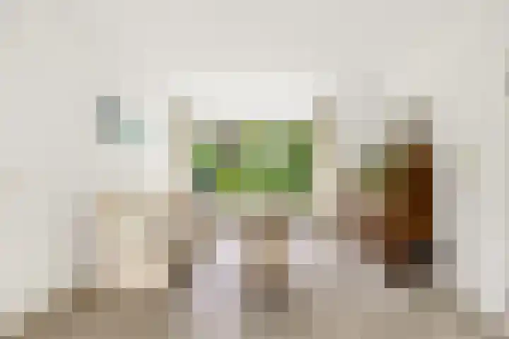 Sleutelbloem 15 Castricum thumbnail 8