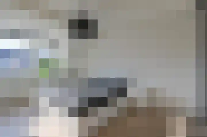 Sleutelbloem 17 Breukelen thumbnail 18