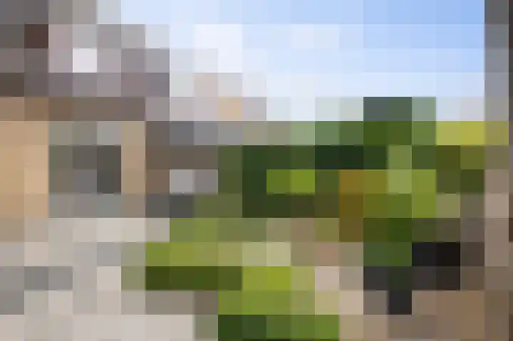 Sleutelbloem 21 Deventer thumbnail 15