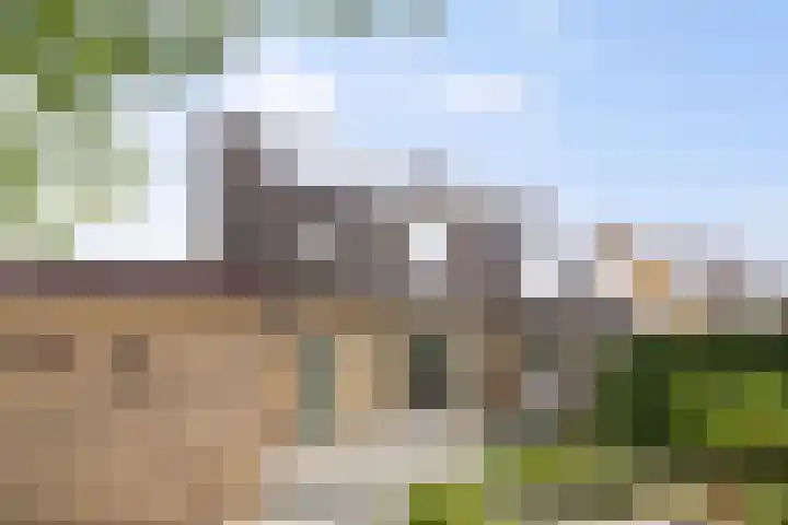 Sleutelbloem 21 Deventer thumbnail 16