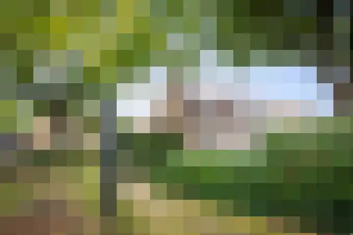 Sleutelbloem 21 Deventer thumbnail 29