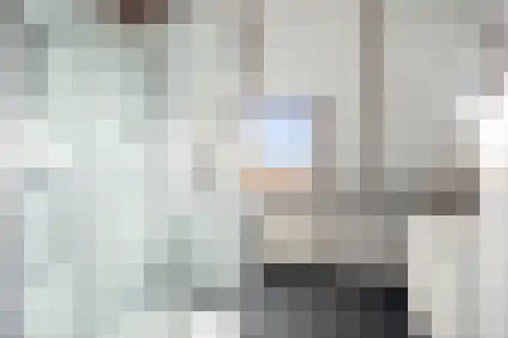 Sleutelbloem 21 Deventer thumbnail 4